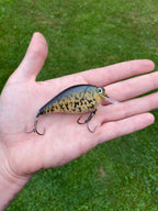 Custom 2.5 or 1.5 Crank-Bait Builder