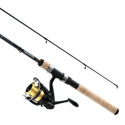D-Shock Combo 1BB Gold