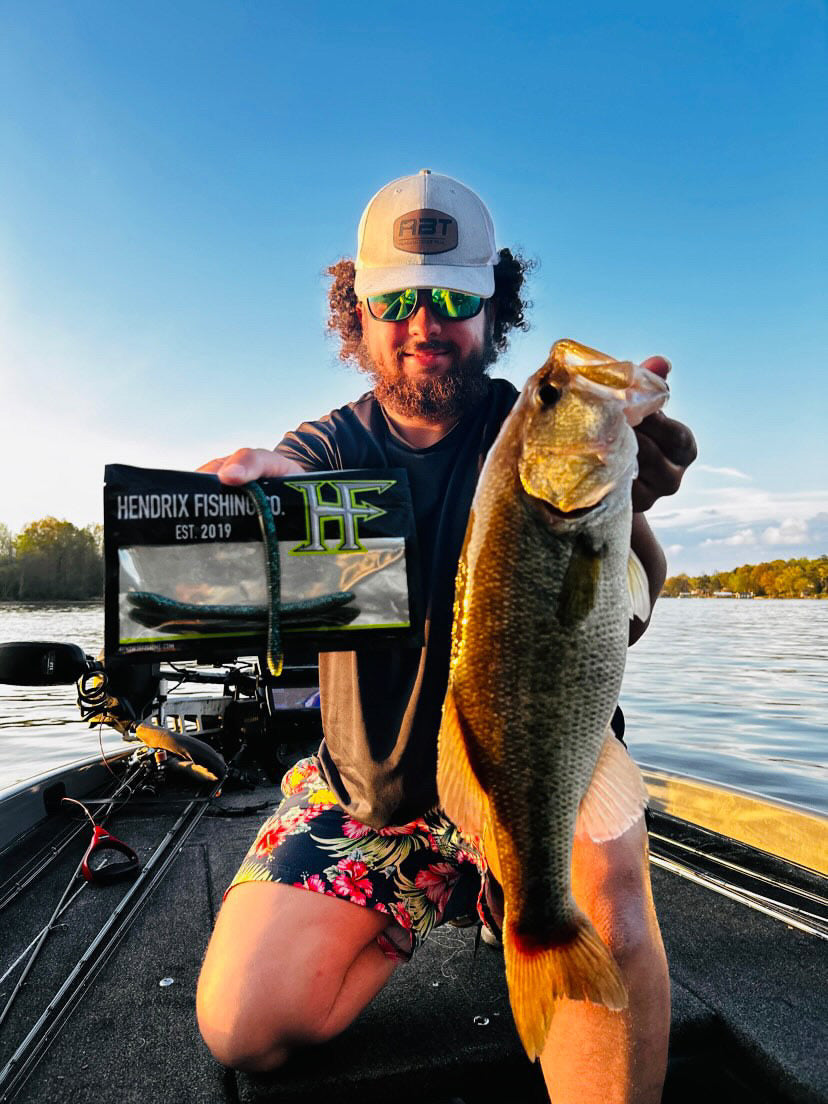 BIG FISH BUNDLE