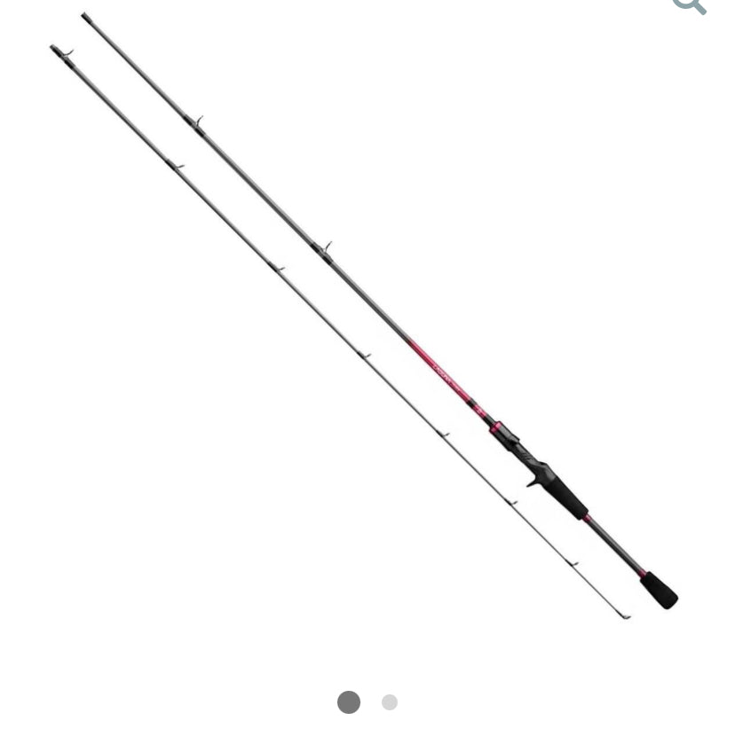Daiwa Laguna Casting Rod