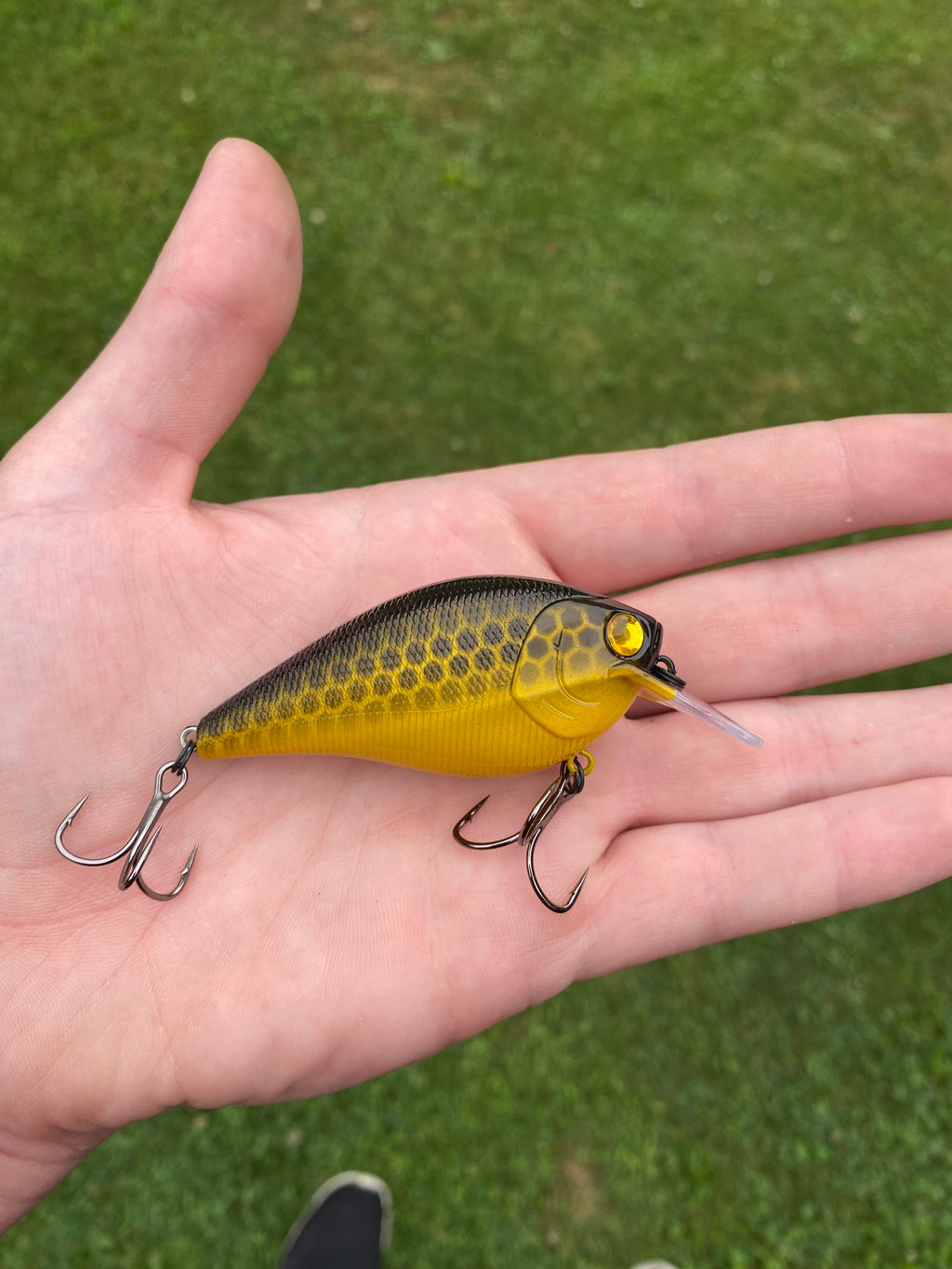 Custom 2.5 or 1.5 Crank-Bait Builder
