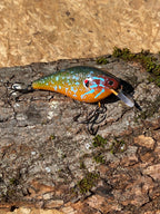 Custom 2.5 or 1.5 Crank-Bait Builder