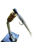 1.25 Culper by Fish or Die