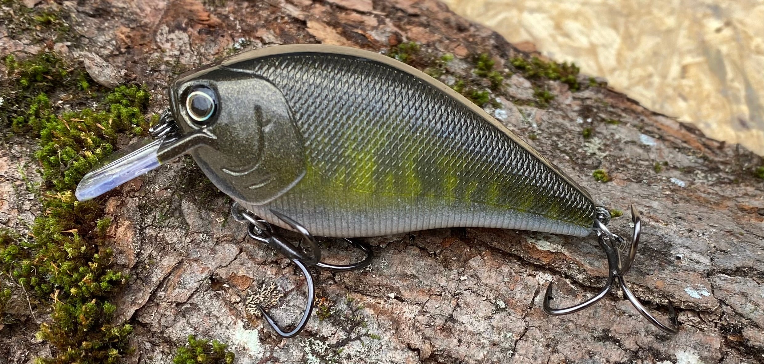 Custom 2.5 or 1.5 Crank-Bait Builder