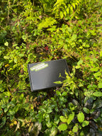 Hendrix Mystery Boxes