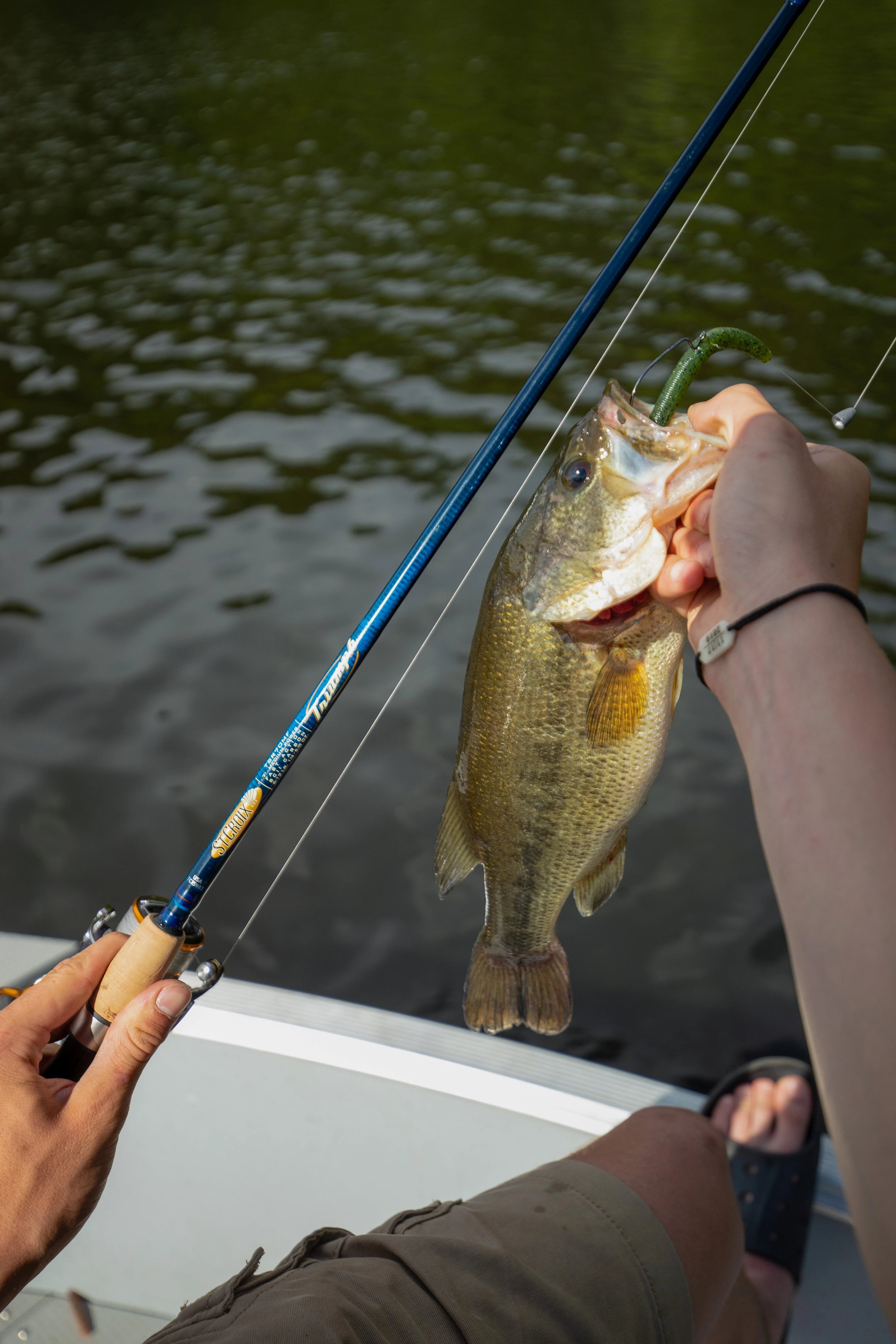 Triumph Casting Rod